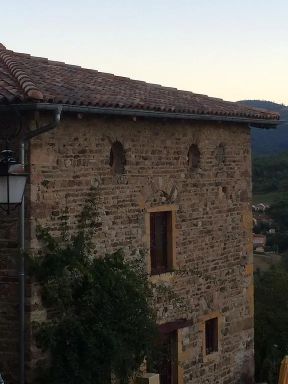 La Dame De Messignac Villa Ternand France